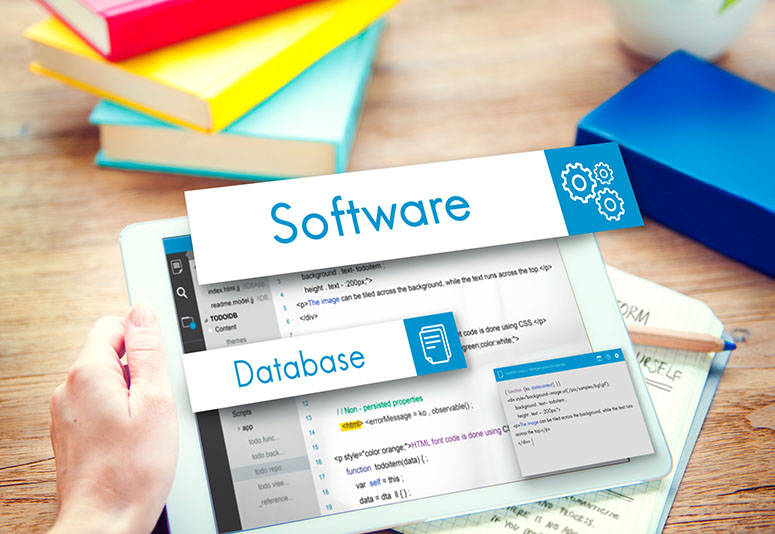 Custom Software Development